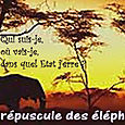 Crépuscule_des_éléphants_5_07