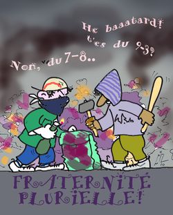 30 Fraternité plurielle 20 10 10