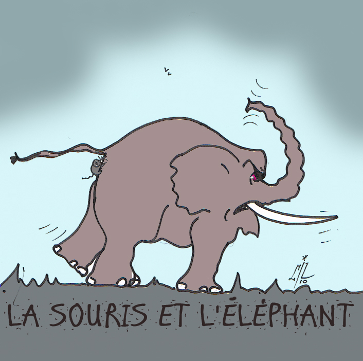 40 la souris et l'éléphant 2 12 10