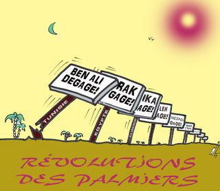 11 Révolutions des palmiers15 02 11