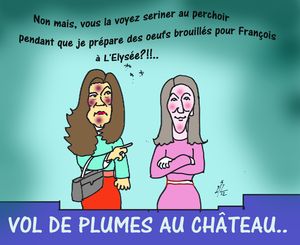 53 Vol de plumes au château 03 06 12