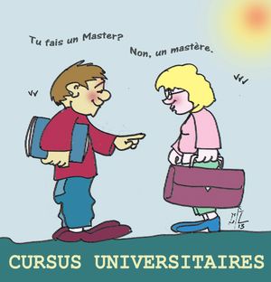 37 Cursus universitaires 10 06 13