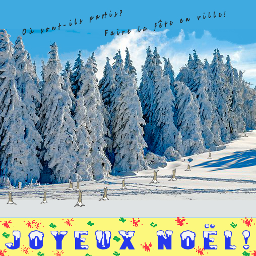 49 Sapins de Noël 20 12 17