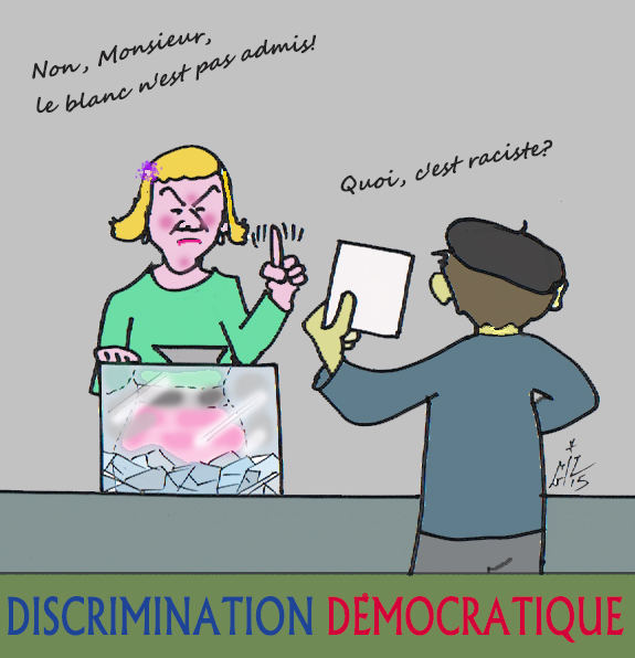 11 Discrimination démocratique 18 02 15