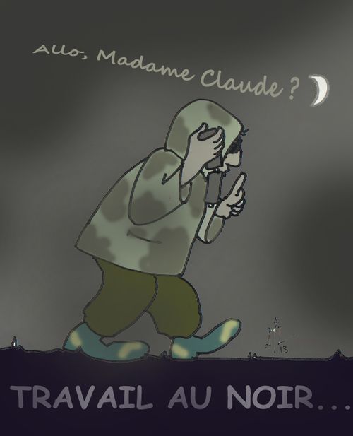 Travail au noir 29 11 13