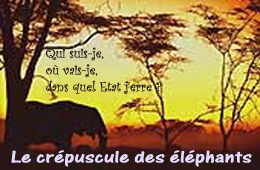 Crépuscule_des_éléphants_5_07