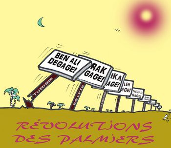 Révolutions des palmiers15 02 11