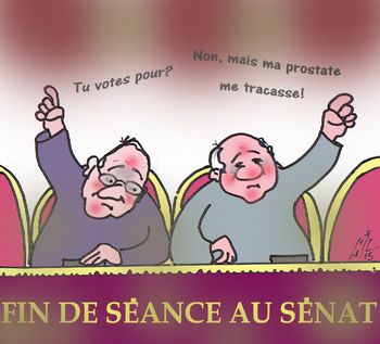 Fin de séance au Sénat 15 04 13